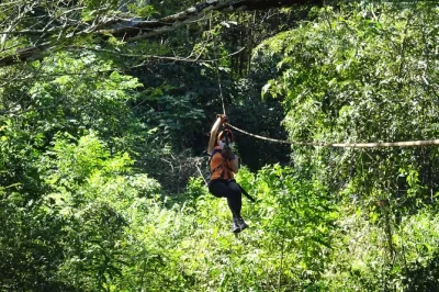 Vivi l’emozione del zipline vicino a tamarindo, avvista scimmie nella giungla costaricana e gusta frutta fresca. tutto l’equipaggiamento e guida locale inclusi. prenota ora la tua avventura.
