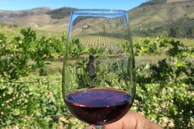 Step into douro valley’s vineyards with a private day trip from porto. enjoy local coffee, estate wine tastings, and lunch—all with pickup and a local guide.
