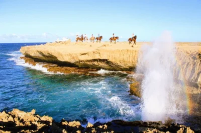 Descubre la costa norte salvaje de aruba a caballo: atraviesa campos de cactus, ruinas de molinos de oro y playas con brisa marina. grupos pequeños, guía local y recogida en hotel incluida.