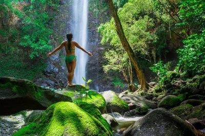 Scivola sul fiume wailua, esplora sentieri nella foresta pluviale fino alle sacred falls, nuota sotto una cascata alta 37 metri e gusta un pranzo picnic fresco con guida e attrezzatura inclusa.