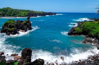 Erlebe die kurven der legendären road to hana auf maui mit wasserfall-baden, schwarzem sandstrand, lokalem obst-picknick und hoteltransfer – alles in einer kleinen gruppe im mercedes van.