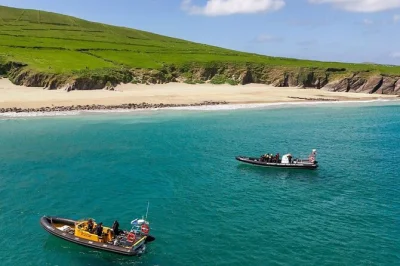 Découvrez dingle bay en bateau, observez dauphins et baleines près des îles blasket, et écoutez les récits des guides locaux. Équipement étanche et gilets de sauvetage inclus.