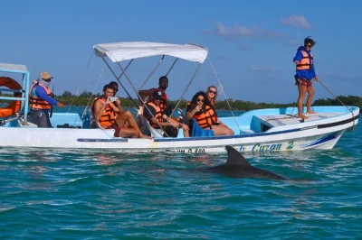 Explore sian ka'an com passeio de barco, observação de animais, snorkel no recife e almoço com frutos do mar fresquinhos em punta allen. inclui transporte e guia local.
