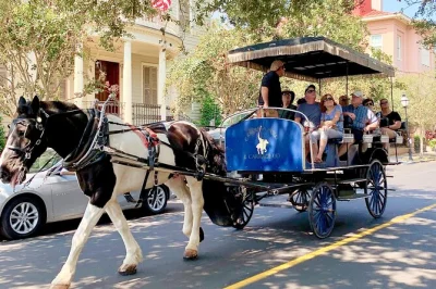 Feel the rhythm of charleston’s streets on a horse & carriage tour, guided by locals. see rainbow row, the battery, and more. includes group ride & photo time.