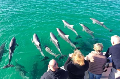 Feel the salt spray on a 75-minute kangaroo island cruise, spot dolphins & seals, hear local stories from your skipper, and enjoy flexible booking options.