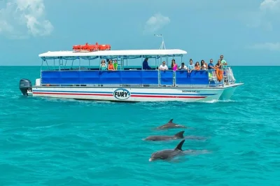 Découvrez les dauphins sauvages à key west, faites du snorkeling dans la réserve naturelle et profitez d’un moment détente avec boissons à bord d’un catamaran — équipement, guide et boisso