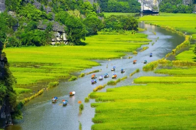 Curious about ninh binh? experience ancient hoa lu, a peaceful sampan ride through tam coc or trang an caves, and climb mua cave with a private guide and lunch included.