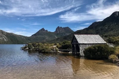 Step onto tasmania’s wild side—walk dove lake, wander ancient rainforest, see sheffield murals. includes picnic lunch, park entry & local guide pickup.