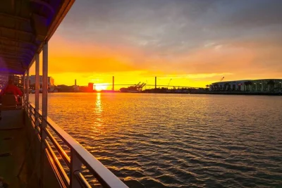 Découvrez savannah au crépuscule avec une croisière éco-responsable à la recherche des dauphins, entre histoires locales, vues sur les navires et ambiance authentique sur river street.