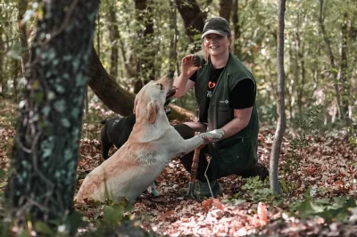 Partez en forêt de motovun avec les chiens truffiers, dégustez des plats istriennes à la truffe et cuisinez avec la famille karlić—petit-déjeuner, déjeuner et vins locaux inclus.