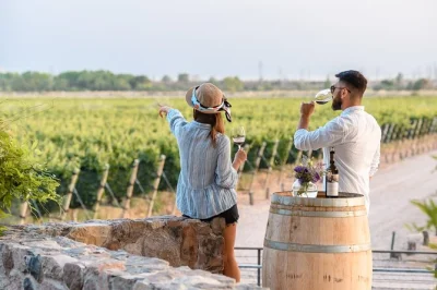 Start your maipu wine tour with tastings at three family-run wineries and an olive grove, all with included transport and a local guide. book your spot today.