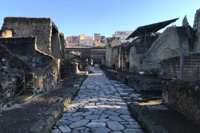 Descubra as casas preservadas, lojas romanas e a praia antiga de herculano com guia licenciado. grupo pequeno, histórias locais e entrada garantida—reserve já.