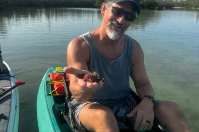 Explorez les tunnels de mangroves de bonita springs en kayak transparent, observez dauphins et lamantins, profitez d’une plage isolée et d’un guide local pro avec photos offertes.