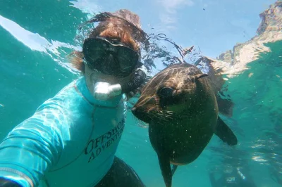 Feel the rush of launching from plettenberg bay, snorkel with playful seals at robberg, and enjoy all gear included—plus souvenir photos to remember it by.