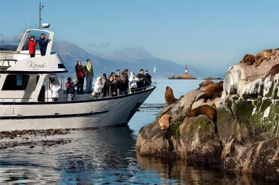 Explore o canal beagle em um iate pequeno em ushuaia, veja a vida selvagem de perto, o farol les eclaireurs e faça um minitrekking guiado na ilha bridges. inclui bebidas quentes e guia local.