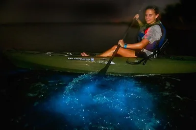 Explorez indian river en kayak la nuit avec un guide local, admirez l’eau qui s’illumine à chaque coup de pagaie et découvrez la bioluminescence de près. matériel et encas inclus.