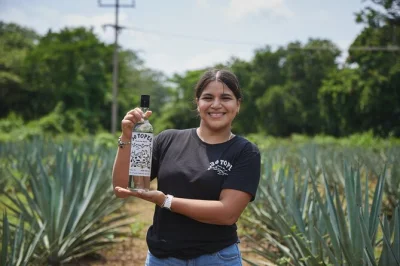 Puerto vallarta, finca 18: tour tra campi di agave con guida locale, degustazione di tequila abbinata a cioccolato premiato e guacamole fresco. include trasferimento e snack.