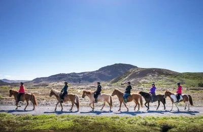 Sinta a conexão com os cavalos islandeses em um passeio por campos de lava perto de reykjavik, com transfer, equipamentos e bebida quente incluídos. grupos pequenos e guias locais para todos os nív