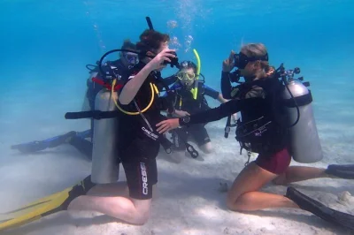 Step into aruba’s underwater world on a private first-time dive—reef colors, gentle shipwrecks, and a patient local instructor. includes pickup and all scuba gear.