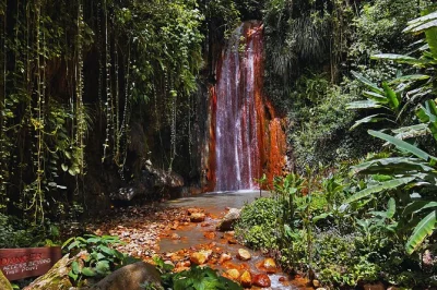 Soak in st lucia’s sulphur mud baths, wander lush botanical gardens, and cool off at toraille waterfall. includes creole lunch and all fees with local guide.