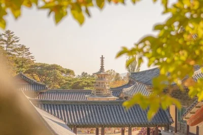 Step into silla history on a private gyeongju tour—bulguksa temple, seokguram grotto, royal tombs, museum, and a traditional korean lunch. includes pickup.