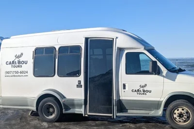 Explore turnagain arm com guia local—veja a vida selvagem do alasca de perto, caminhe sob glaciares e aproveite um almoço em girdwood. entrada inclusa.