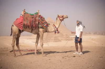 Feel the ancient world in giza, memphis, saqqara & dahshur on a private day trip from cairo. includes hotel pickup, entry fees & lunch with a local guide.