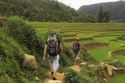 Wake up to mountain air in sapa, trek rice terraces, share dinner with a local family, and join a hands-on cooking class. includes meals, transfers, and homestay.