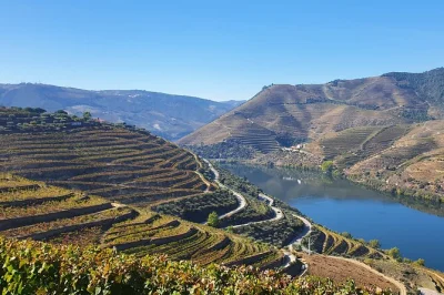 Feel the douro valley’s rhythms on a day trip from porto with wine tastings, a river cruise, and lunch. includes pickup and a local guide for easy booking.