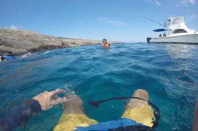 Nagez avec les lions de mer, observez les fous à pieds bleus et explorez les tunnels volcaniques lors d’un snorkeling guidé aux tuneles & cabo rosa, île isabela.
