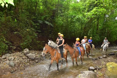 Partez à cheval dans la forêt tropicale du costa rica, puis observez la faune lors d’une balade en bateau sur le fleuve tarcoles. excursion idéale pour les croisiéristes à proximité de puntare
