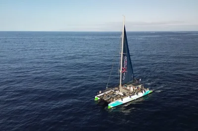 Feel the sea breeze on a tenerife whale watching catamaran, swim at masca bay, see los gigantes cliffs, and enjoy lunch with drinks—includes pickup and local crew.