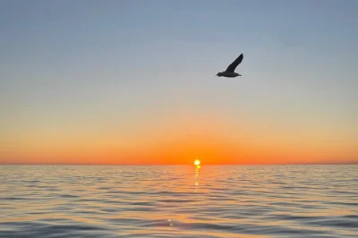 Veja cinque terre brilhar ao pôr do sol em um barco típico da ligúria, nade em enseadas escondidas, prove vinhos locais e focaccia, e ouça histórias do simpático time a bordo. inclui traslado.