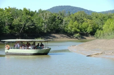 Airlie beach, proserpine river und goorganga plains entdecken: krokodile beobachten, flussfahrt, wagenfahrt und bbq mit abholung inklusive.