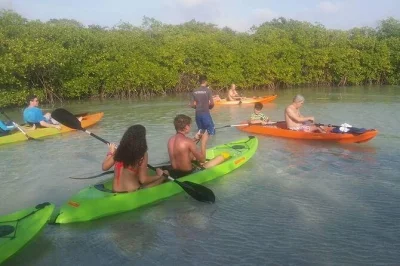 Recorre en kayak con fondo de cristal la costa de aruba, descubre la vida marina, haz una pausa en isla di oro y disfruta fruta fresca en la playa mangel halto. incluye guía.