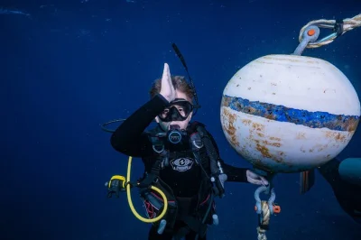 Plongez dans les eaux limpides de maui à mala wharf en petit groupe — découvrez tortues, requins pointe blanche et vie corallienne colorée avec tout le matériel scuba inclus.