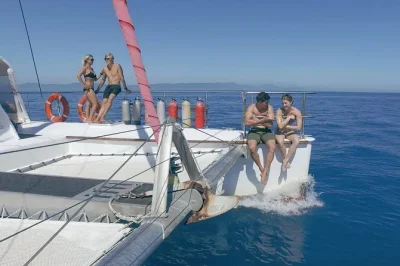 Siente la brisa marina en un paseo en velero desde cairns hasta upolu reef, nada con tortugas, disfruta un buffet tropical y relájate con una tripulación local cercana.