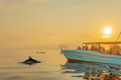 Wake up early for a dolphin watching boat trip from puerto pollensa to formentor. see dolphins at dawn, enjoy sea air, and relax with family. includes toilet onboard.