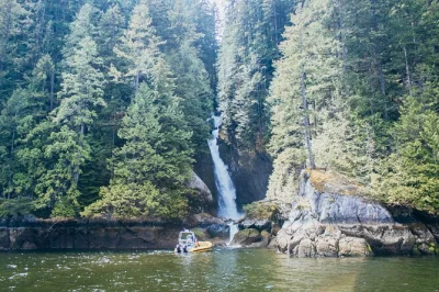 Scopri vancouver dal mare, avvista animali selvatici e naviga nel fiordo di indian arm fino alle cascate con una guida locale. tutto l’equipaggiamento e pacchetto foto incluso.