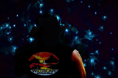 Explora las blue mountains de noche con un guía local, descubre luciérnagas en una cueva oculta, observa animales con linternas y aprende técnicas de supervivencia. equipo incluido.