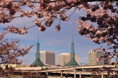 Feel portland’s creative pulse on this half-day city tour with hotel pickup, the famous rose test garden, powell’s books, and local stories from your guide.