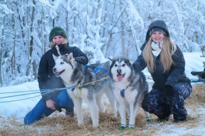 Feel the rush of alaskan husky dog sledding near fairbanks, guided by mushers. includes hotel pickup, snowy trails, and free downloadable photos.