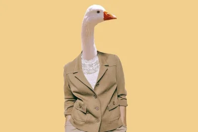 Play the game of the goose in antwerp! explore hidden spots, solve clues, and compete with friends on this interactive city walk. team fun from €69.