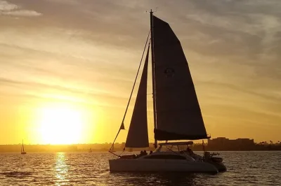 Feel the breeze on a san diego sunset catamaran sail, spot sea lions & dolphins, sip wine or beer, and relax with a small group—includes drinks & blankets.