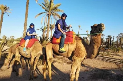 Experience a luxury overnight desert trip from fez to merzouga. camel ride, sunset views, live music, and private camp stay. book your sahara adventure.