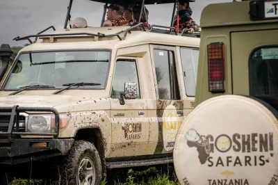 Feel the wild heart of tanzania on a 7-day safari through serengeti, ngorongoro & tarangire. luxury camps, expert guides, wildlife drives, all transfers included.