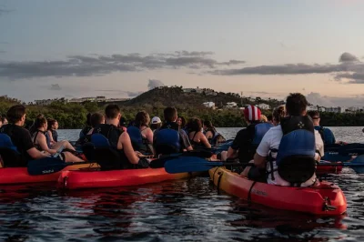 Feel the magic of puerto rico’s laguna grande on a sunset kayak tour from fajardo, led by a marine biologist. includes all gear, snacks, and safety orientation.