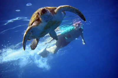 Feel the thrill of kayaking tenerife’s coast, snorkel with turtles, and spot wild dolphins. includes wetsuits, snorkeling gear, and photos—guided by locals.