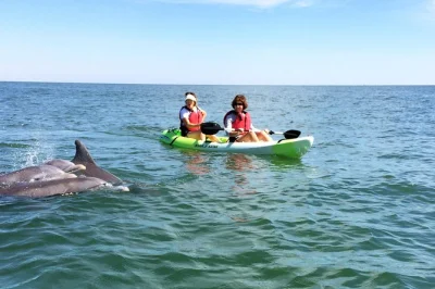 Feel the rush of paddling near wild dolphins on a small group kayak tour in virginia beach’s chesapeake bay. includes all gear, local guide, and flexible start times.