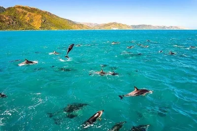 Découvrez la côte sauvage de kona en zodiac, faites du snorkeling à kealakekua bay près du monument captain cook, explorez des grottes marines et dégustez de l’ananas frais — équipement incl